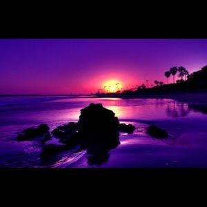 Meet your Posher, Antwanette